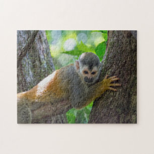 Quebra-cabeça Squirrel monkey in Manuel Antonio NP - Costa Rica