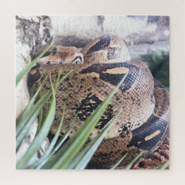 Quebra-cabeça Sssnooze (Vertical)