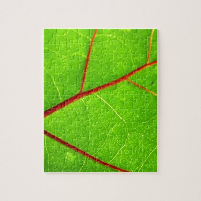 Quebra-cabeça St Thomas 1 (Vertical)