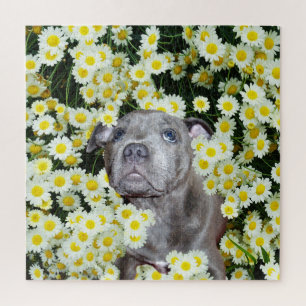 Quebra-cabeça Staffordshire Bull Terrier Puppy No Daisies,