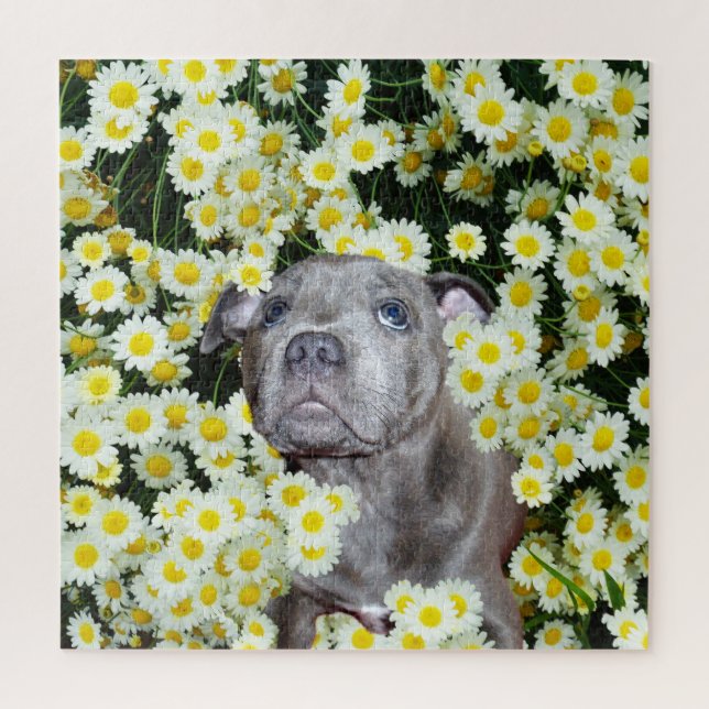 Quebra-cabeça Staffordshire Bull Terrier Puppy No Daisies, (Vertical)
