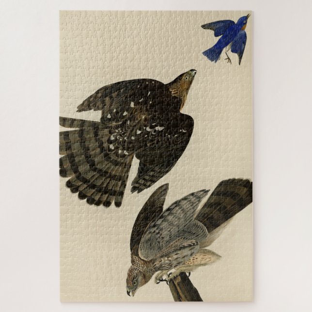 Quebra-cabeça Stanley (Cooper's) Hawk Audubon's Birds of America (Vertical)