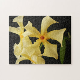 Quebra-cabeça Star Jasmine Flower 11x14 252pc jpcna