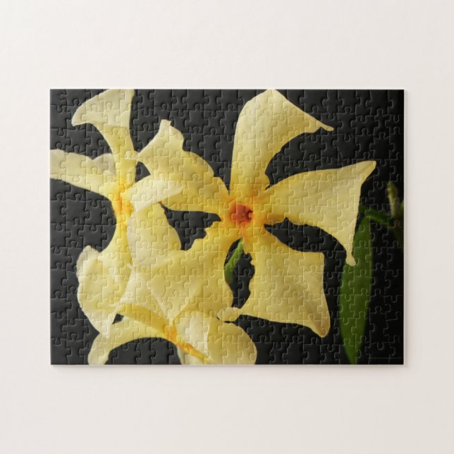 Quebra-cabeça Star Jasmine Flower 11x14 jpcnm 252pc (Horizontal)