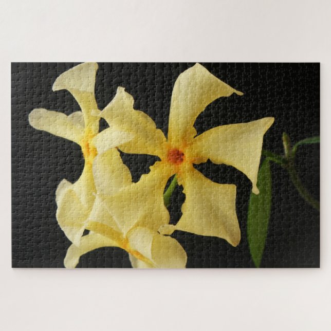 Quebra-cabeça Star Jasmine Flower 20x30 1014pc jpa (Horizontal)