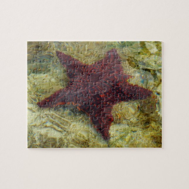 Quebra-cabeça Starfish submarino das Bahamas (Horizontal)