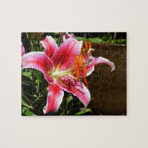 Quebra-cabeça Stargazer Lily Fotografia