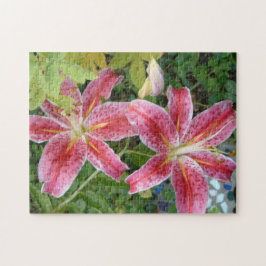 Quebra-cabeça Stargazer Lily Garden Floral