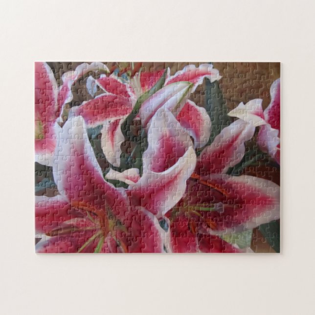 Quebra-cabeça Stargazers-1 (Horizontal)