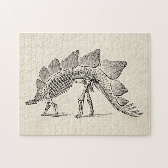 Quebra-cabeça Stegossauro Dinossauro Esqueleto Fóssil (Horizontal)