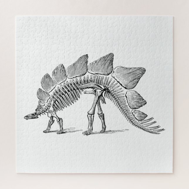 Quebra-cabeça Stegossauro Dinossauro Esqueleto Fóssil (Vertical)