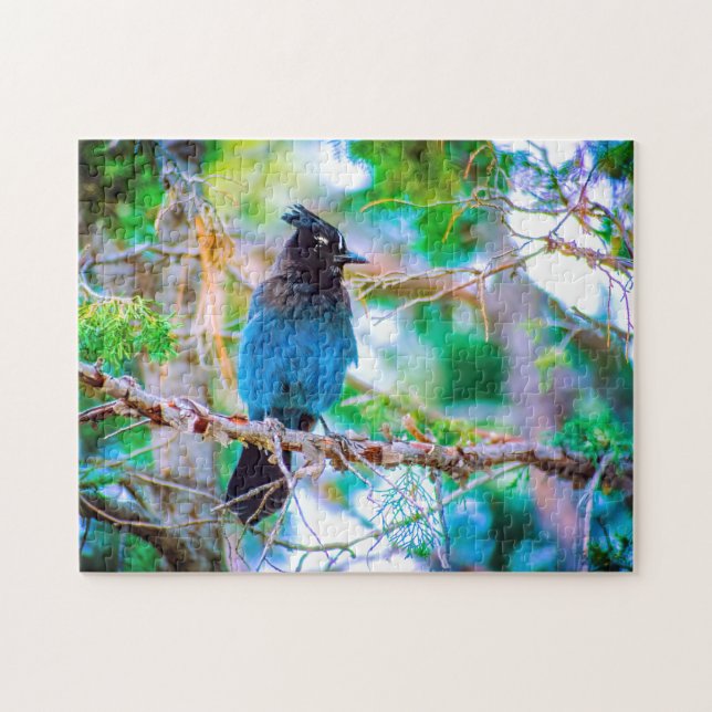 Quebra-cabeça Steller's Jay - Fotografia original (Horizontal)