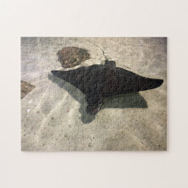 Quebra-cabeça Stingray