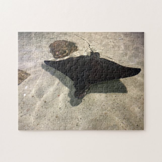 Quebra-cabeça Stingray (Horizontal)