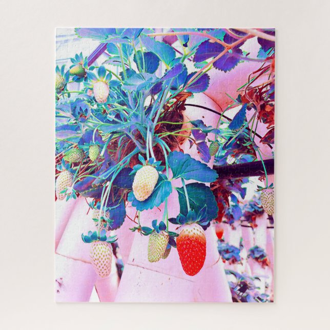 Quebra-cabeça Strawberry fazenda Port Macquarie Austrália (Vertical)