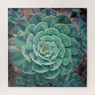 Quebra-cabeça Succulent do Fim-acima