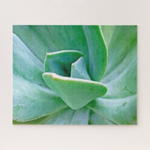 Quebra-cabeça Succulent Swirl