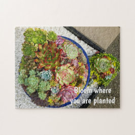 Quebra-cabeça Suculentos em Planter