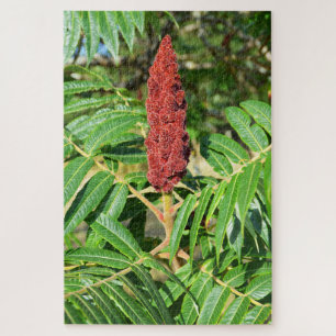 Quebra-cabeça Sumac