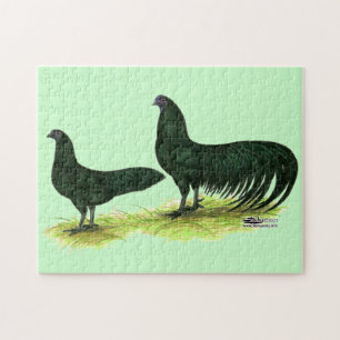 Quebra-cabeça Sumatra Black Chickens