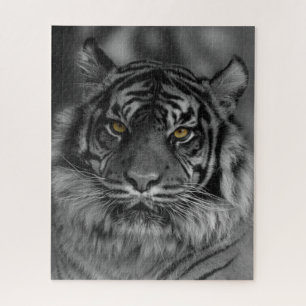 Quebra-cabeça Sumatran Tiger