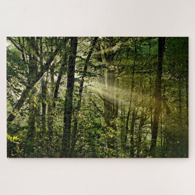 Quebra-cabeça Sunbeams maravilhosos na Floresta da manhã (Horizontal)