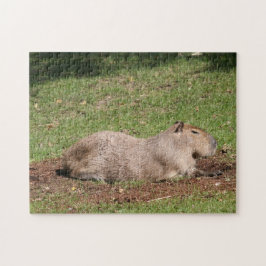Quebra-cabeça Sunbelt Capybara