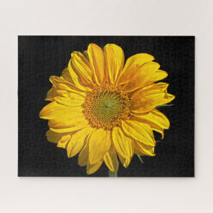 Quebra-cabeça Sunflower 16x20 520pc jpcn