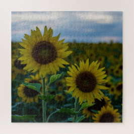 Quebra-cabeça Sunflower Duo Close Up