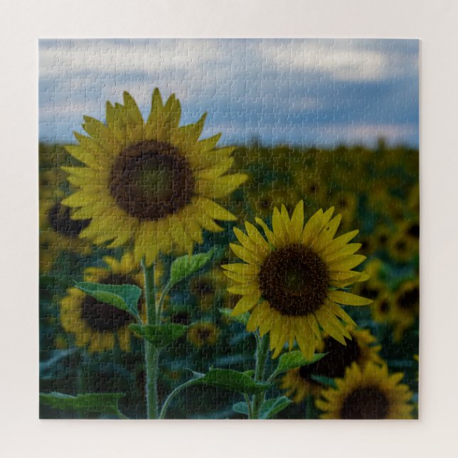 Quebra-cabeça Sunflower Duo Close Up (Vertical)