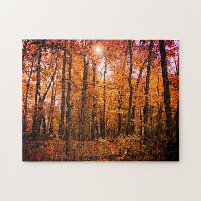 Quebra-cabeça Sunny Fall Woods (Horizontal)