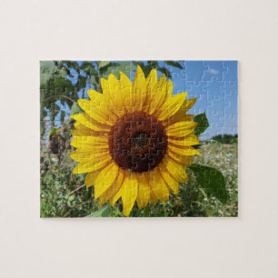 Quebra-cabeça Sunny Sunflower