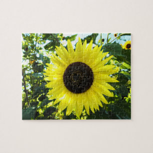 Quebra-cabeça Sunny Sunflower