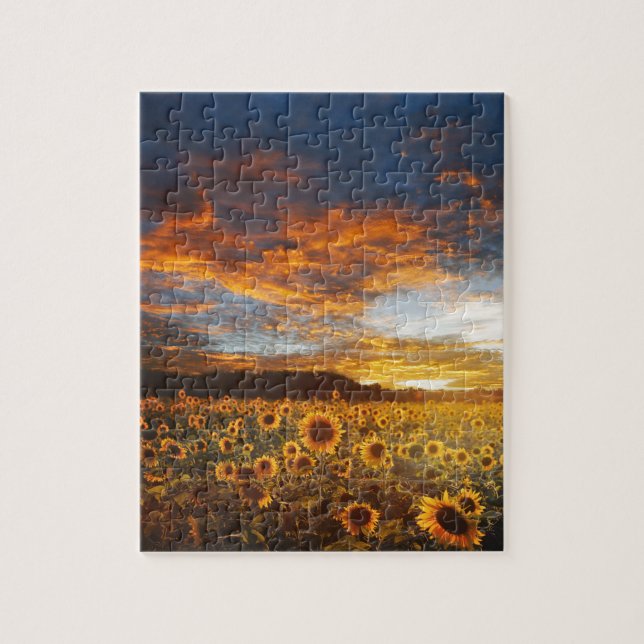Quebra-cabeça Sunset SunflowerField (Vertical)