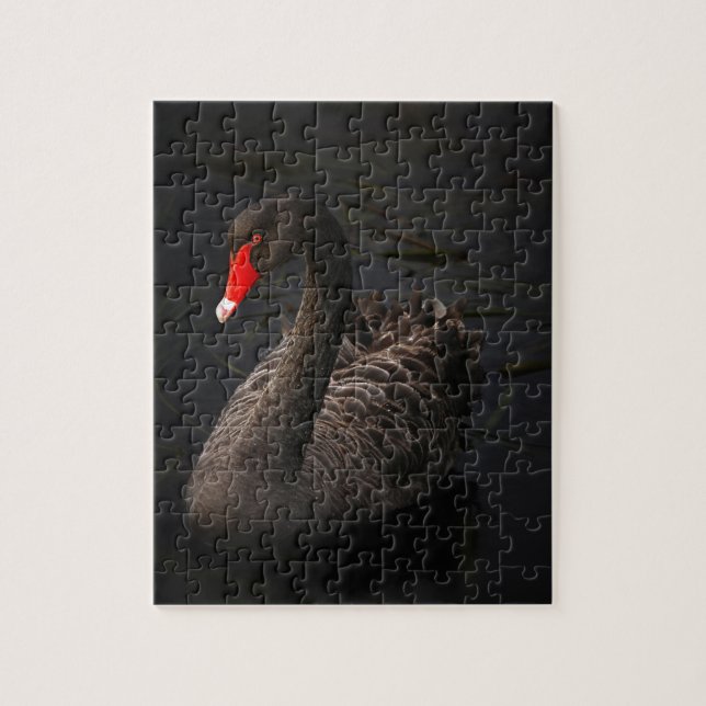 Quebra-cabeça Swan Negro (Vertical)