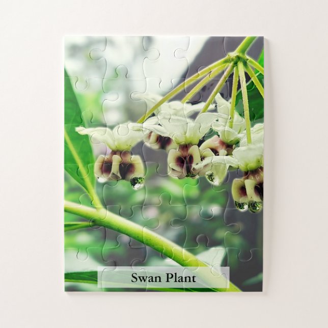 Quebra-cabeça Swan Plant: Monarch’s First Home 30 Pcs (Vertical)