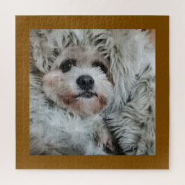 Quebra-cabeça Sweet dog, puppy