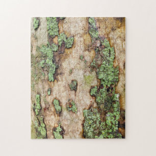 Quebra-cabeça Sycamore Tree Latido Moss Lichen