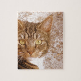 Quebra-cabeça Tabby Cat