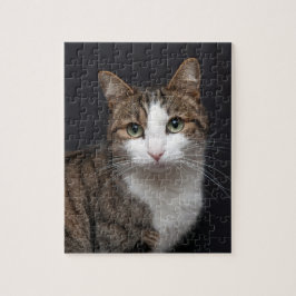 Quebra-cabeça Tabby Cat com olhos verdes contra fundo preto