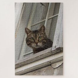 Quebra-cabeça Tabby cat te observando pela janela