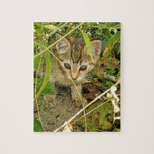 Quebra-cabeça Tabby Kitten (Vertical)