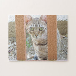 Quebra-cabeça - Tabby Kitten através da Direita