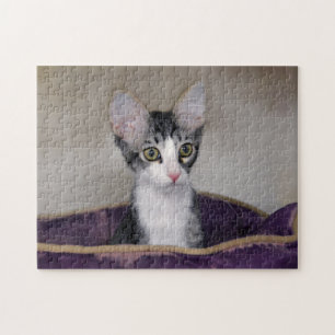 Quebra-cabeça Tabby Kitten em uma cama roxa