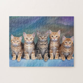 Quebra-cabeça Tabby Kittens x Cinco