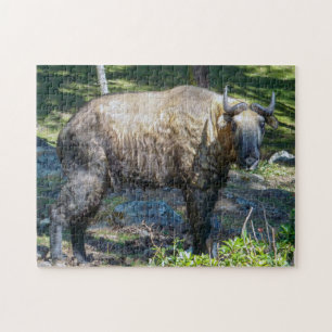 Quebra-cabeça Takin, animal nacional do Butão - Himalaya, Ásia