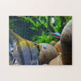 Quebra-cabeça Tanque de Peixes Tropicais Angelfish