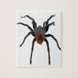 Quebra-cabeça Tarantula