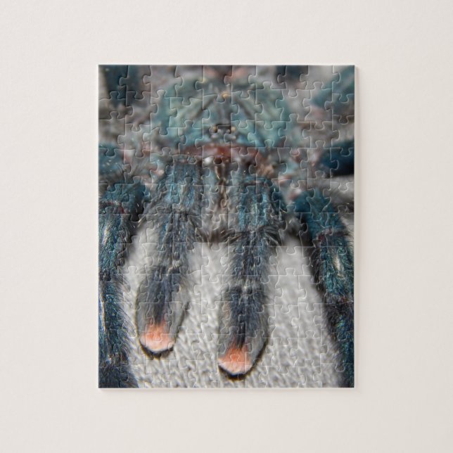 Quebra-cabeça tarantula azul (Vertical)