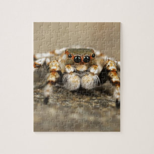 Quebra-cabeça Tarantula Jumping Bird Spider Acessórios incríveis